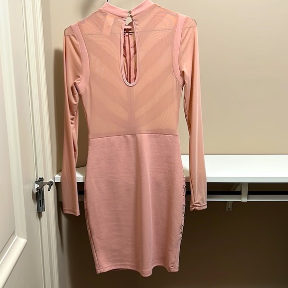 Windsor Salmon Pink Sheer Mesh Long Sleeve Dress - Picture 3 of 3
